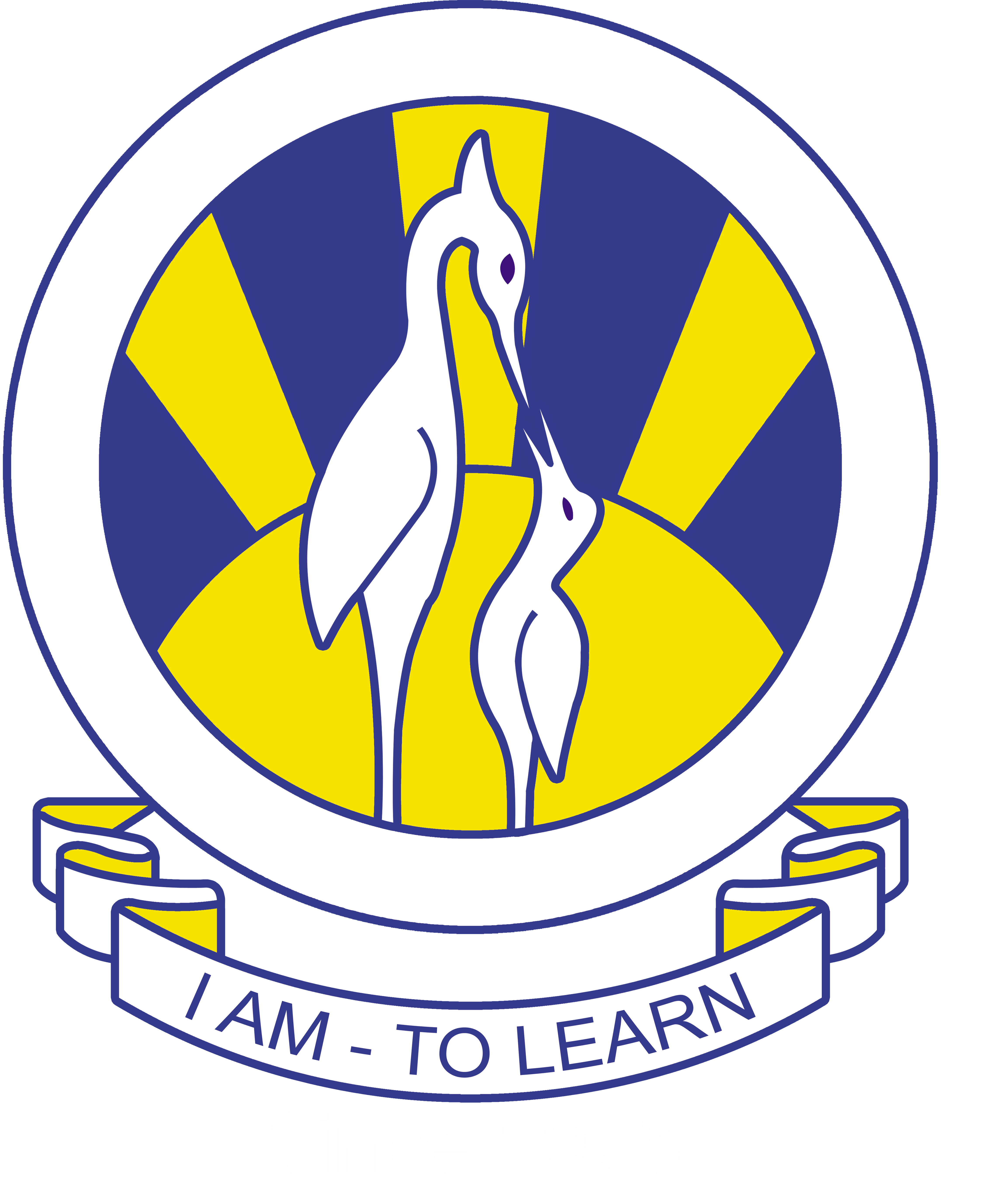 The City School